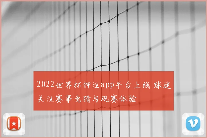 2022世界杯押注app平台上线 球迷关注赛事竞猜与观赛体验