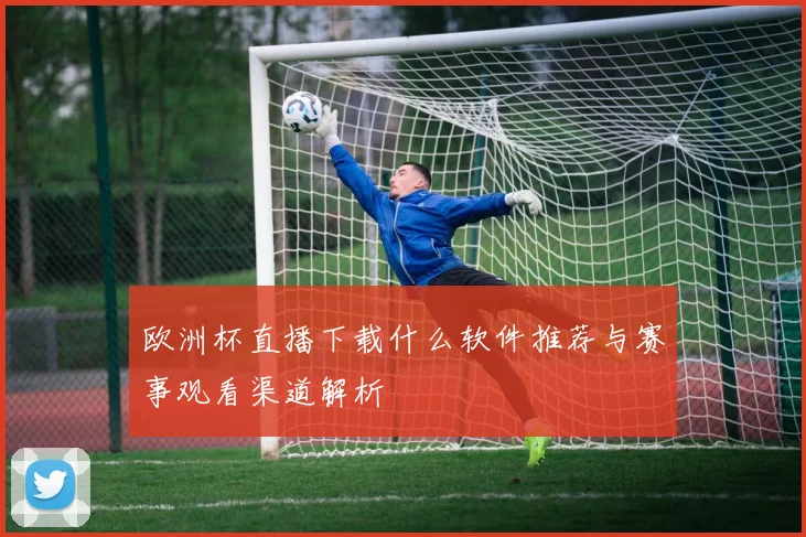 欧洲杯直播下载什么软件推荐与赛事观看渠道解析