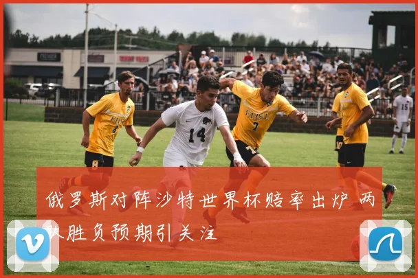 俄罗斯对阵沙特世界杯赔率出炉 两队胜负预期引关注