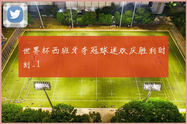 世界杯西班牙夺冠球迷欢庆胜利时刻_1