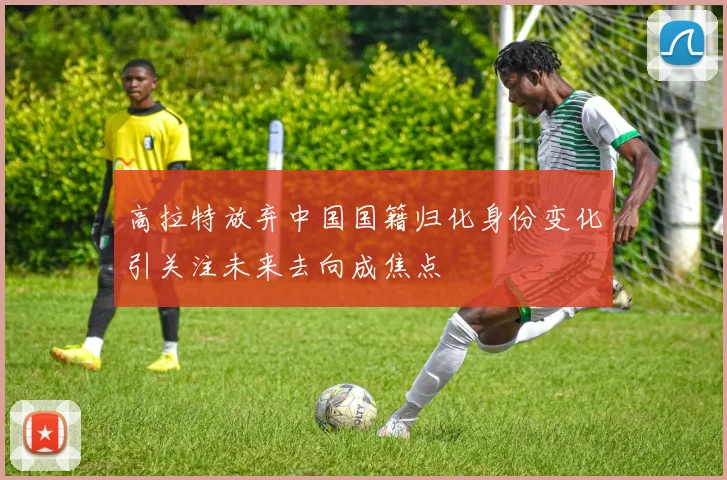 高拉特放弃中国国籍归化身份变化引关注未来去向成焦点
