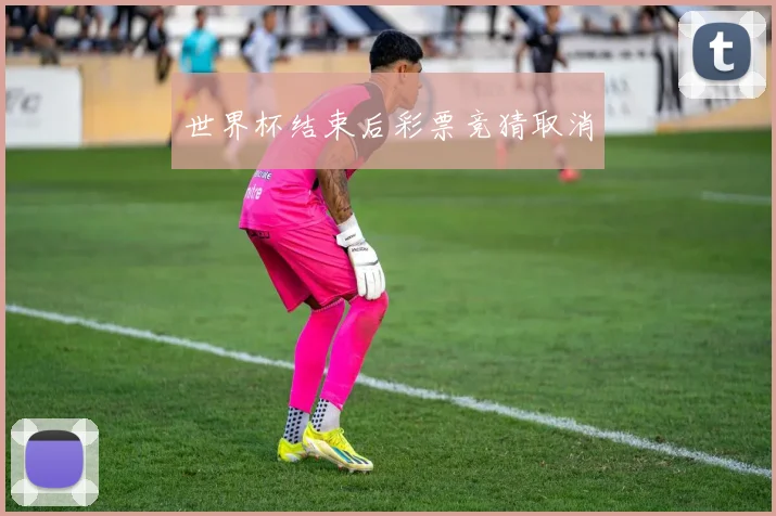 世界杯结束后彩票竞猜取消