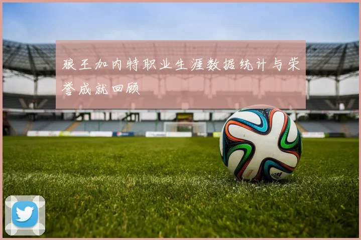 狼王加内特职业生涯数据统计与荣誉成就回顾