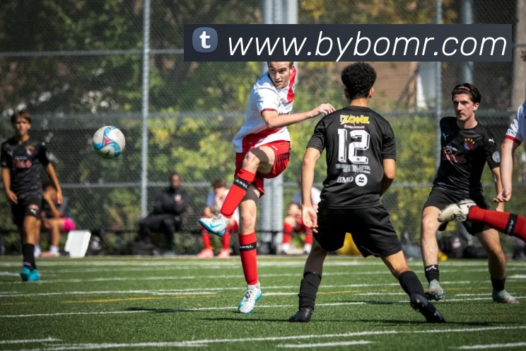 kaiyun开云官方网页版 - kaiyun开云(中国)平台生态图